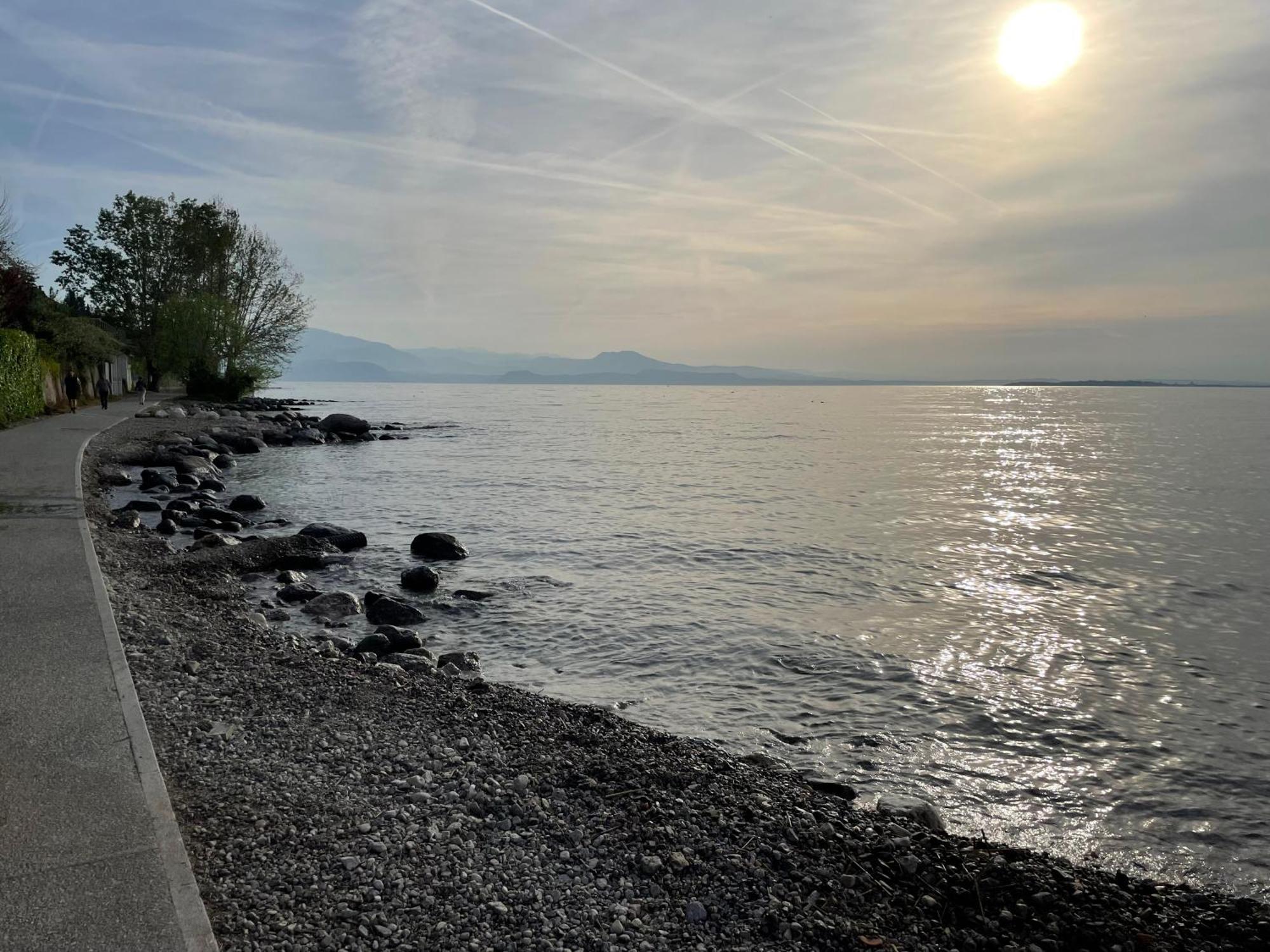 Villa Maria Apartments Moniga del Garda Dış mekan fotoğraf