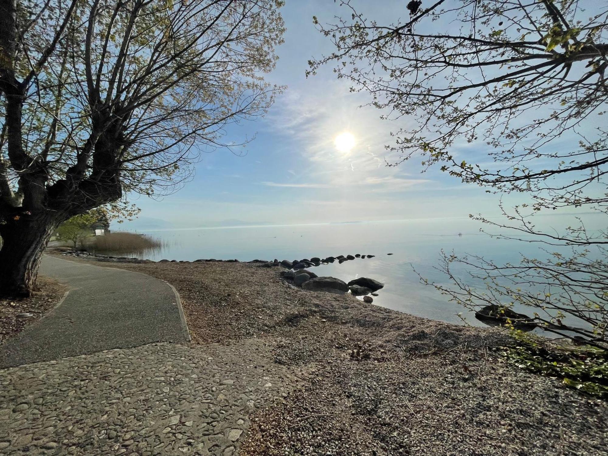 Villa Maria Apartments Moniga del Garda Dış mekan fotoğraf